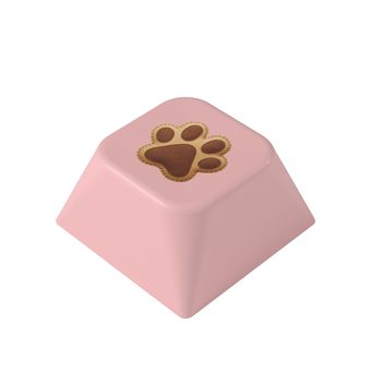 발바닥